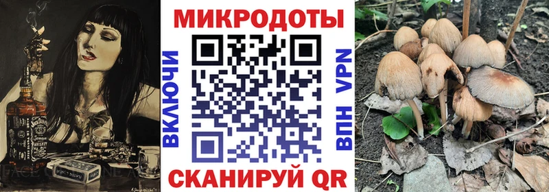 гидра   Кочубеевское  Псилоцибиновые грибы GOLDEN TEACHER 